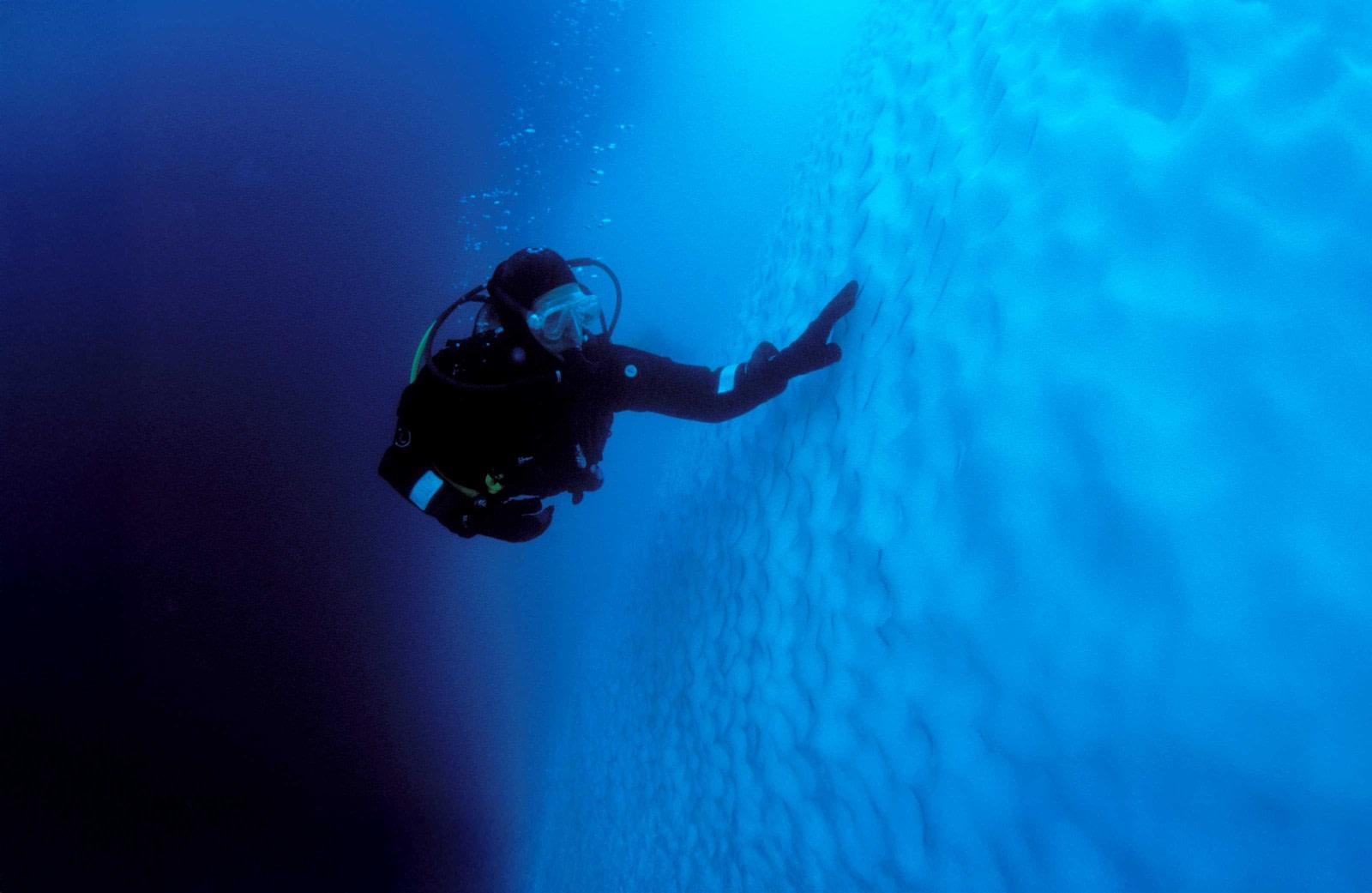 Buceo