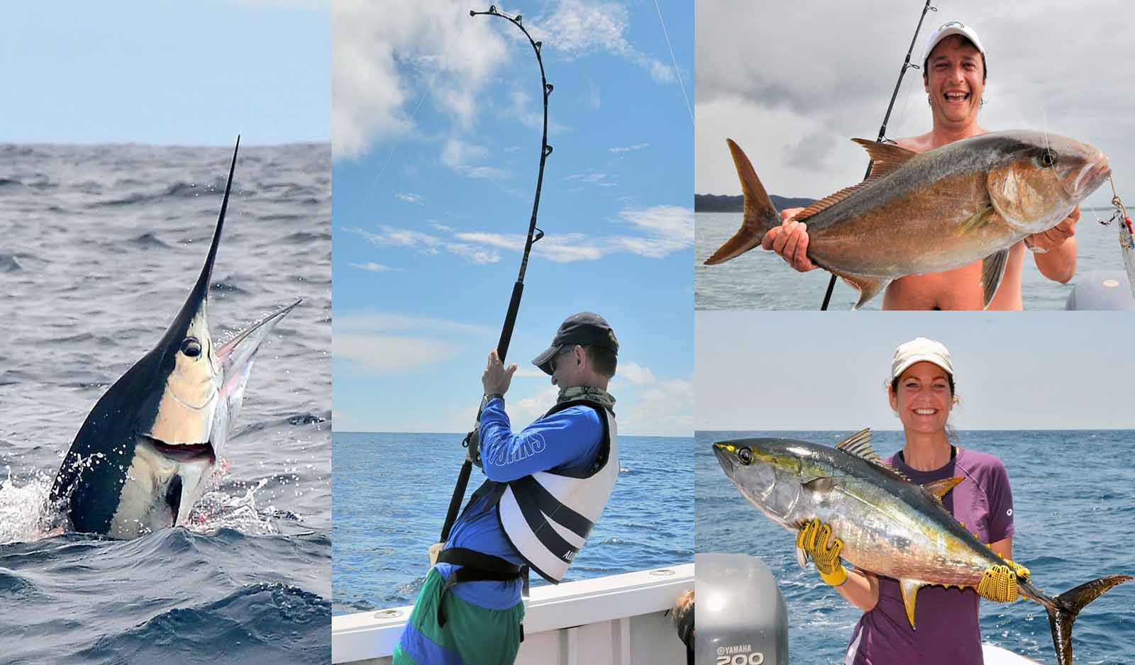 Pesca deportiva