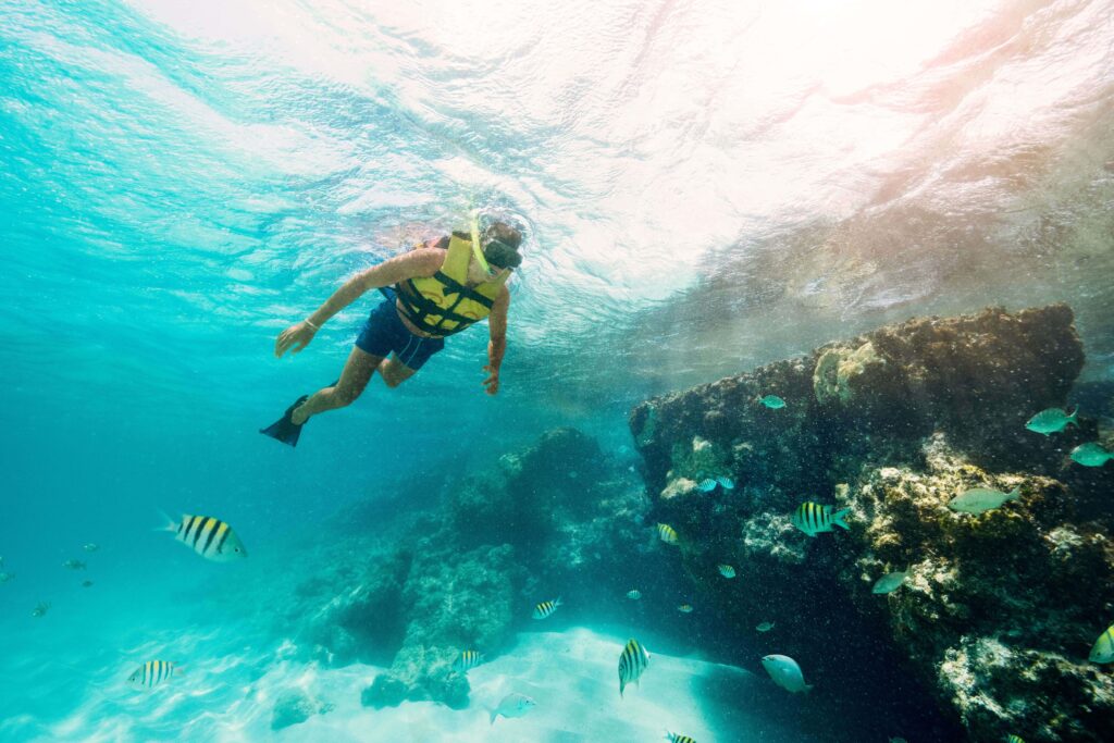 Snorkel